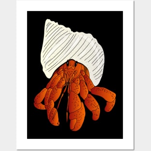 Hermit crab Posters and Art